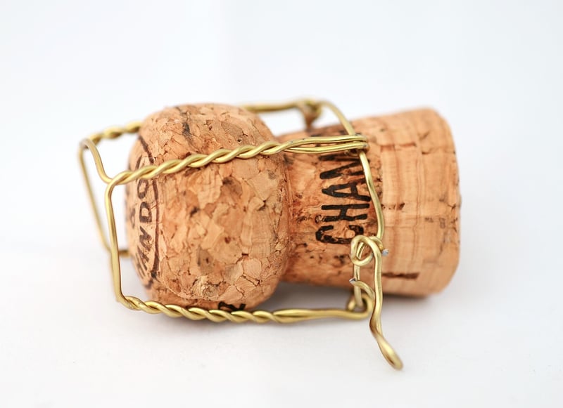 Succulent Cork Magnets Recycled
